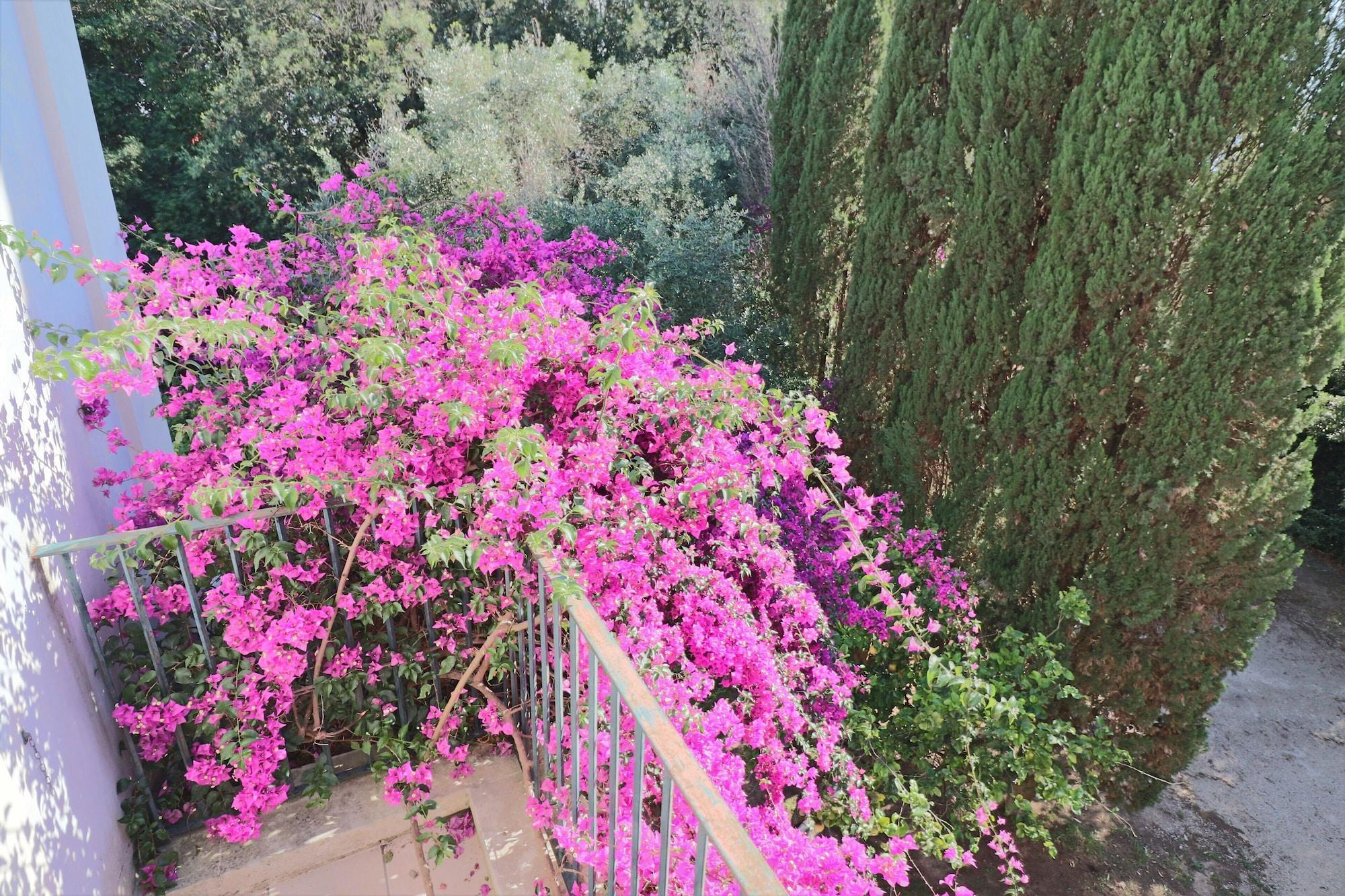 Relais Delle Rose Couette-café